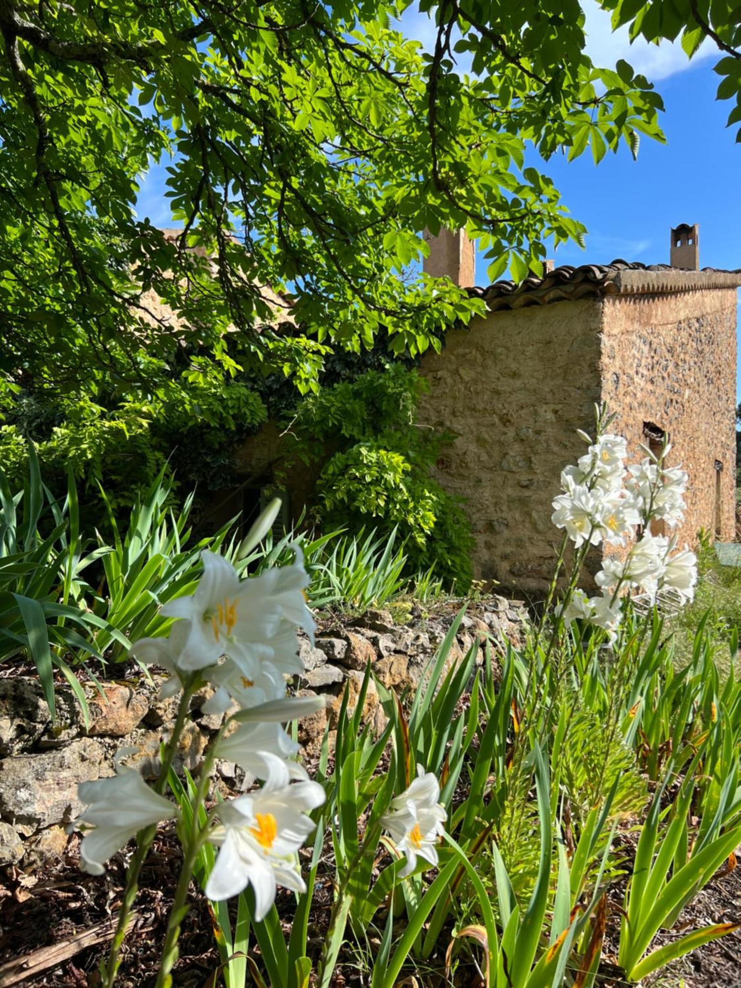 La Cabane De Babarot Aups Εξωτερικό φωτογραφία