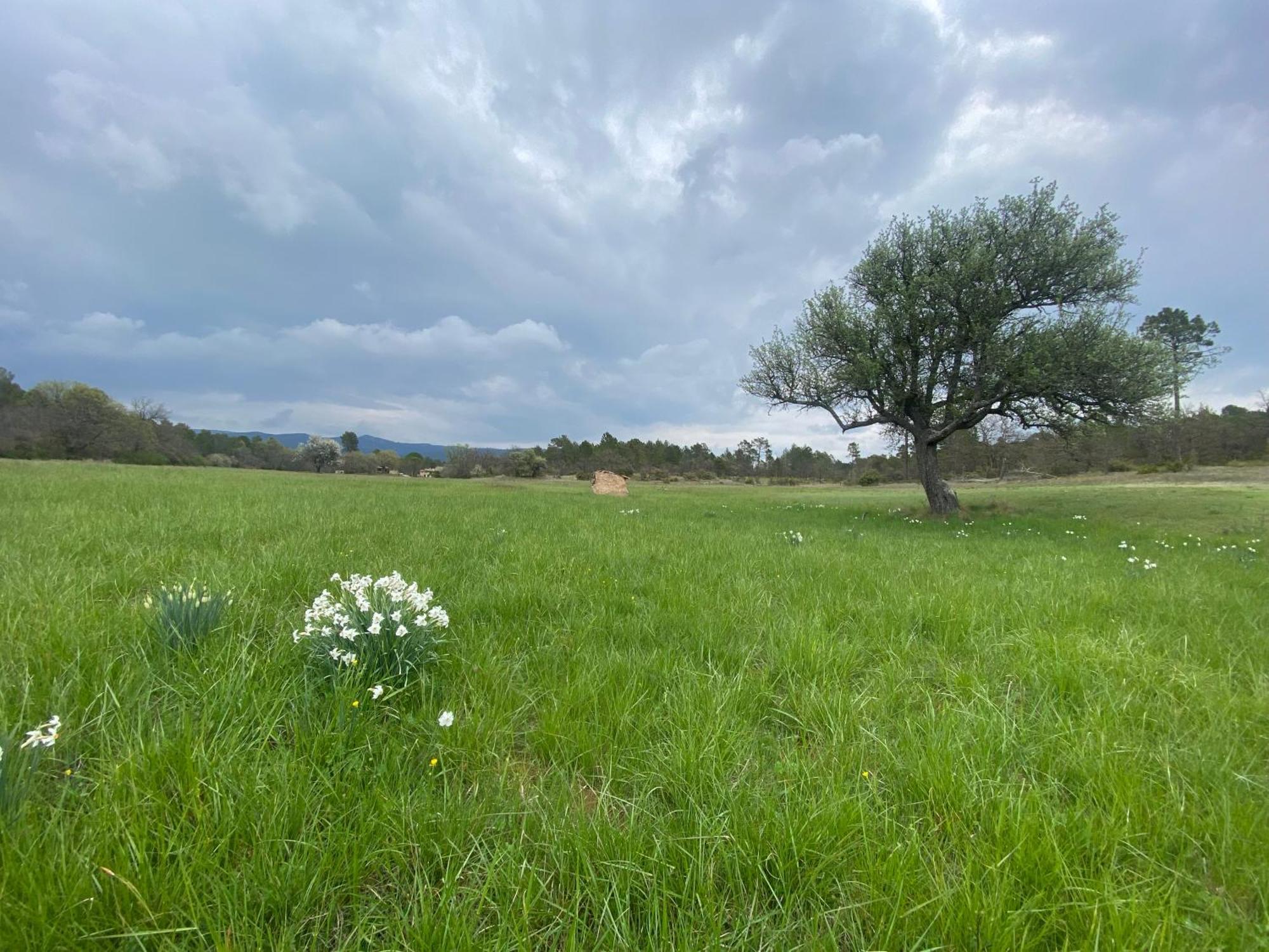 La Cabane De Babarot Aups Εξωτερικό φωτογραφία